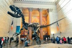 Thumbnail: American_Museum_Natural_History3.jpg
