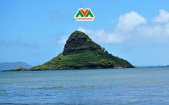 Thumbnail: Chinamans-Hat.jpg