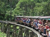 Thumbnail: Công-viên-Quốc-Gia-Dandenong-1.jpg