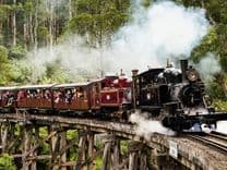 Thumbnail: cong-vien-dandenong-ranges.jpg