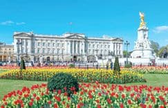 Thumbnail: cung-dien-buckingham.jpg