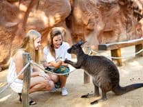 Thumbnail: sydney-zoo.jpg