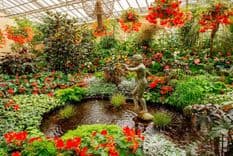 Thumbnail: vuon-thuc-vat-fitzroy.jpg