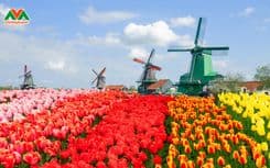 Thumbnail: zaanse-schans.jpg