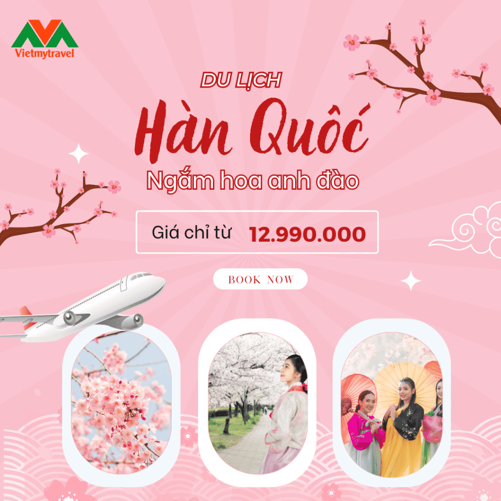 tour-han-quoc-gia-re-1024x1024.png