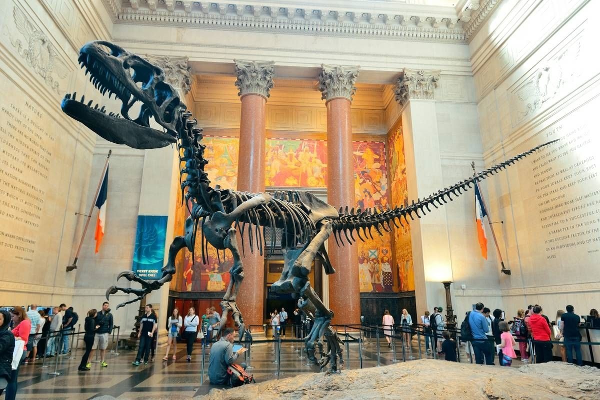 American_Museum_Natural_History3.jpg