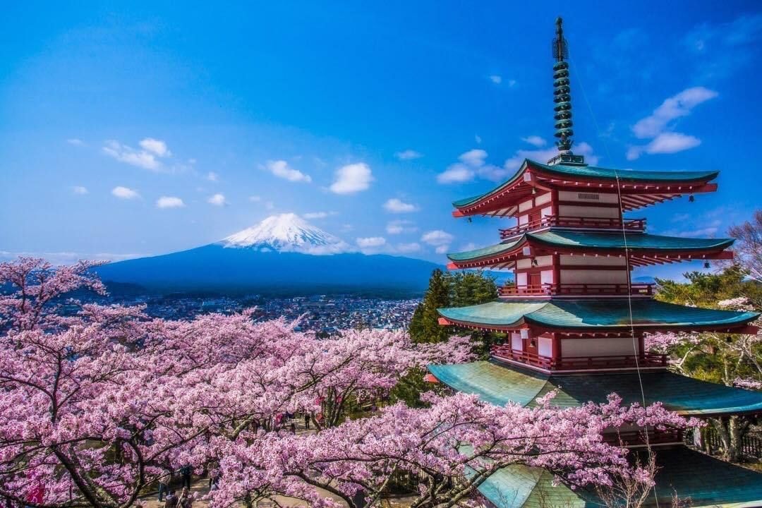 Núi Phú Sĩ & Chùa Chureito – Biểu tượng Nhật Bản - Thành phố Fujiyoshida, tỉnh Yamanashi, Nhật Bản