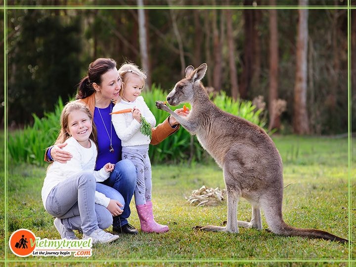 TOUR-UC-SYDNEY-CANBERRA-SO-THU-Featherdale-Park-.jpg