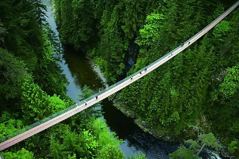 du-lich-canada-cau-treo-capilano-1.webp