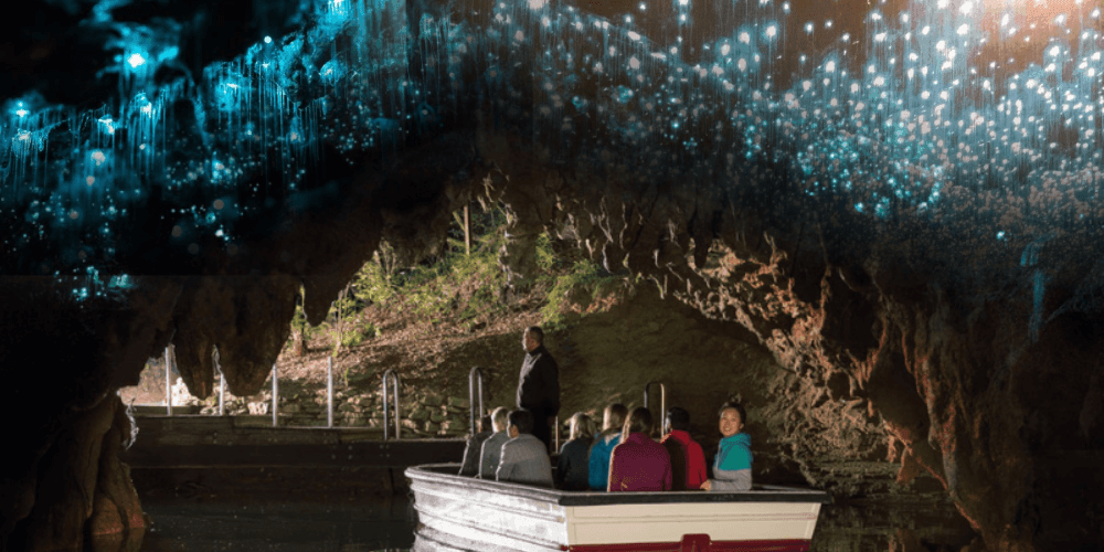 hang-waitomo-glow-worm.png