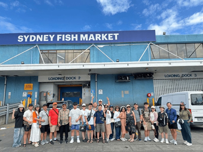 sydney-fish-market-uc.jpg